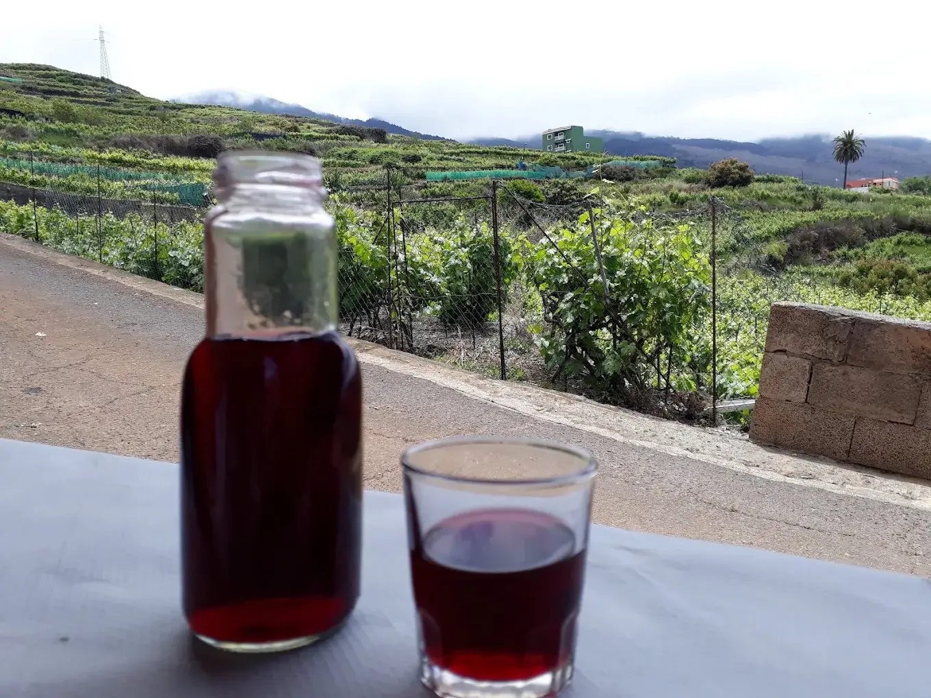 Vino tinto en Guachinche La Cuadra